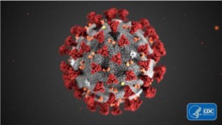 CÂMARA ADOTA MEDIDAS DE CONTINGÊNCIA EM RAZÃO DA PANDEMIA DO NOVO CORONAVÍRUS CÂMARA ADOTA MEDIDAS DE CONTINGÊNCIA EM RAZÃO DA PANDEMIA DO NOVO CORONAVÍRUS